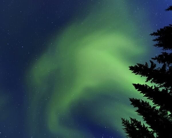 Aurora Borealis in Troms County, Norway