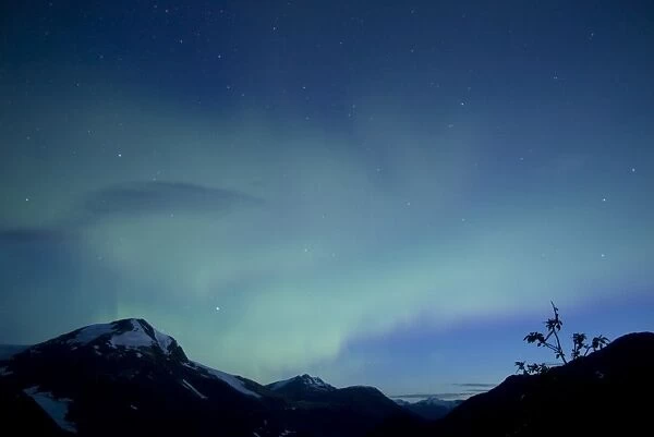 Aurora, Salmon Glacier, British Columbia, Canada