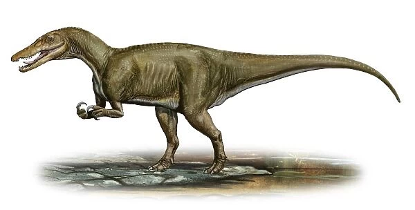 Baryonyx walkeri, a prehistoric era dinosaur
