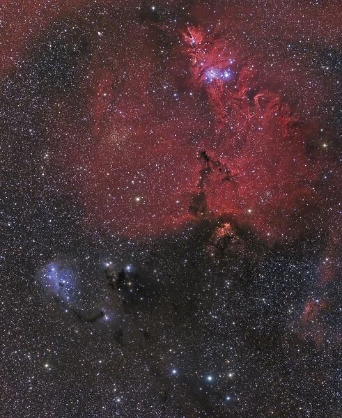 Beautiful Nebula in Monoceros