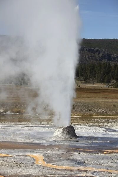Beehive Geyser erupting, Upper Geyser Basin geothermal area, Yellowstone National Park