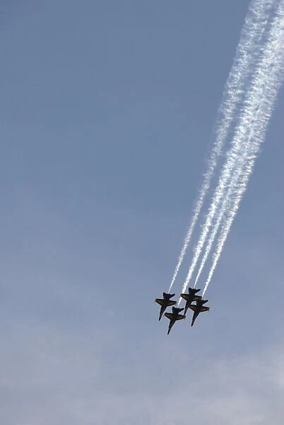 The Blue Angels perform aerial demonstrations during an air show