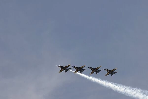 The Blue Angels perform aerial demonstrations during an air show