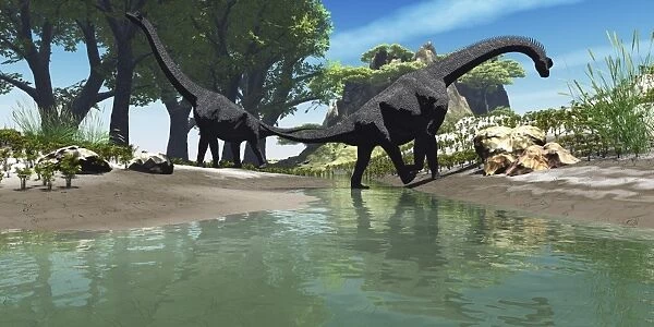 Brachiosaurus dinosaurs look for food along the banks of a stream