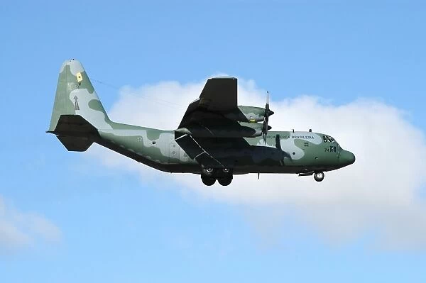 Brazilian Air Force C-130 Hercules prepares for landing