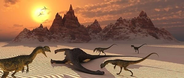 Carniverous Dilophosaurus making a meal of a sauropod carcass