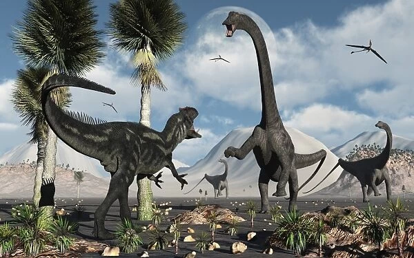 A carnivorous Allosaurus confronts a giant Diplodocus herbivore during the Jurassic