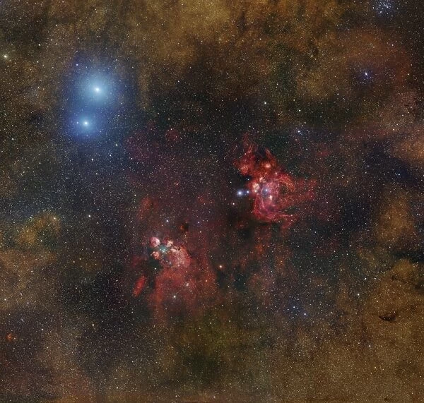 The Cats Paw and Lobster Nebulae in Scorpius