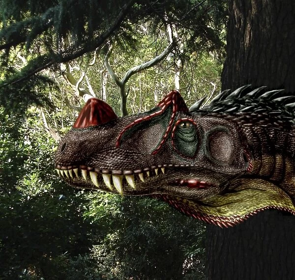Ceratosaurus magnicornis of the Late Jurassic Period
