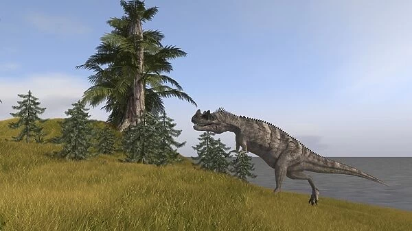 Ceratosaurus running up a hill