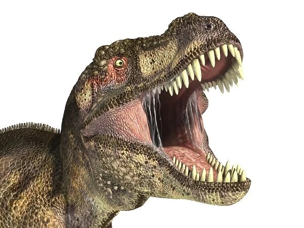 Close-up of Tyrannosaurus Rex dinosaur with mouth open