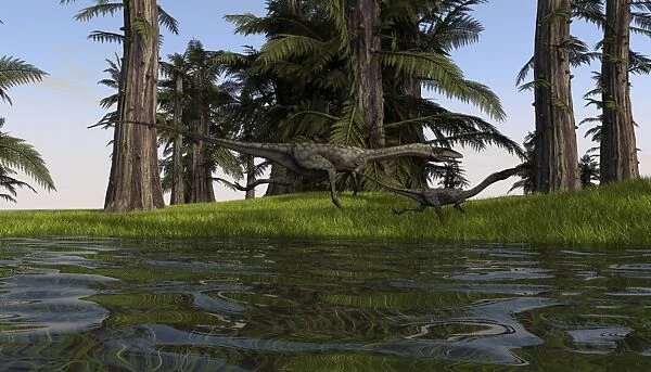 Two Coelophysis dinosaurs running along the edge of swampy water