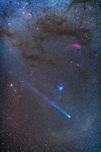 Comet Lovejoys long ion tail in Taurus
