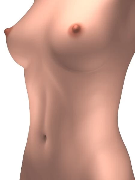 Conceptual image of female torso