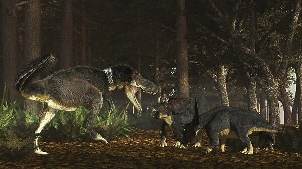 Daspletosaurus confronts a family of Chasmosaurus