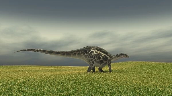 Dicraeosaurus walking across a grassy field