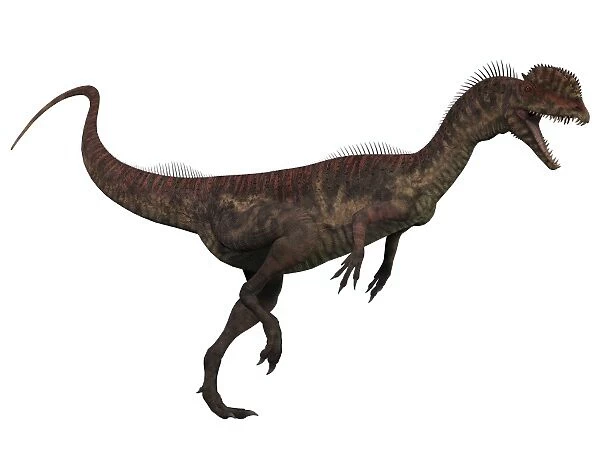 Dilophosaurus, a predatory dinosaur from the Jurassic period