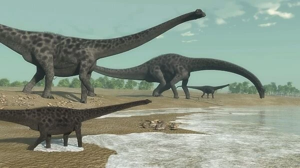 Diplodocus dinosaurs looking for water