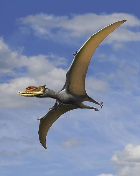 Dsungaripterus weii, a pterosaur from the Early Cretaceous Period