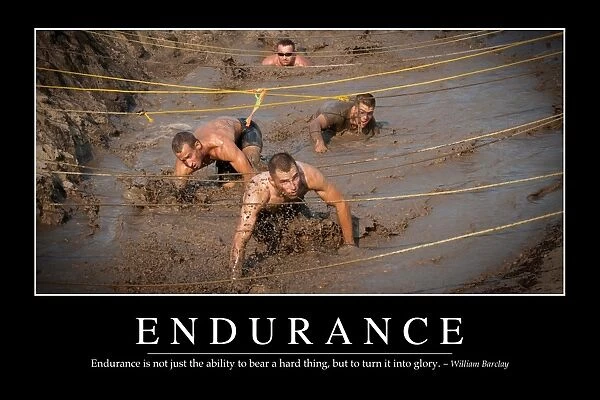 Endurance: Inspirational Quote and Motivational Poster