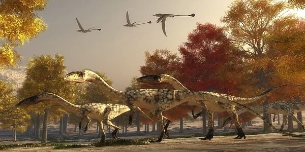 Three Eudimorphodons fly above a group of Coelophysis in an autumn forest
