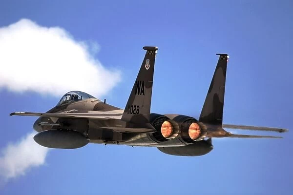 An F-15 Eagle in flight