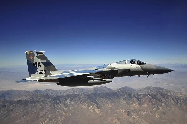 An F-15E Strike Eagle from the 65th Aggressor Squadron