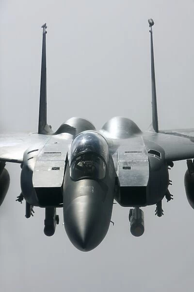 F-15E Strike Eagle of the U. S. Air Force