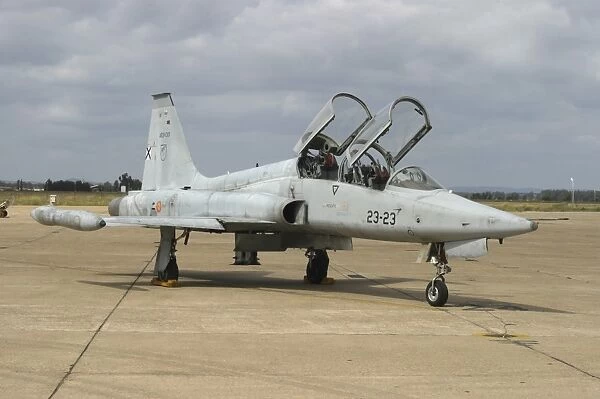 F-5 Tiger II used as a lead-in trainer aircraft for the Spanish Air Force