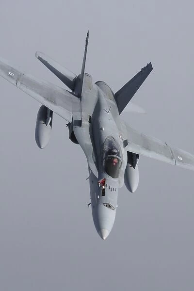 F  /  A-18 Hornet of the Finnish Air Force