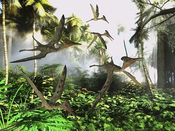A flock of Pterodactylus reptiles fly over the jungle searching for their next meal