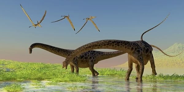 A flock of Pterosaur birds fly over two Diplodocus dinosaurs