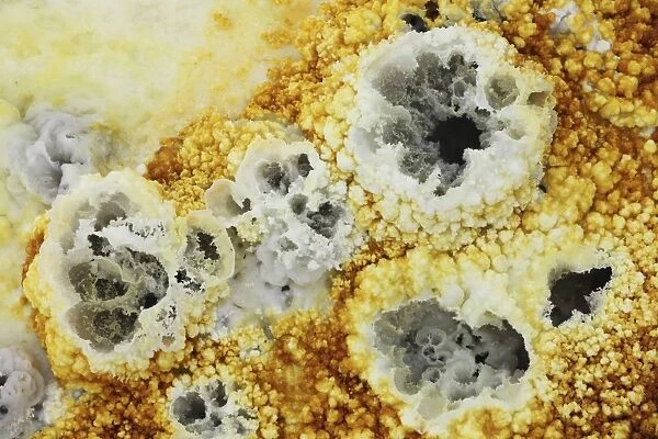 Fumaroles in potassium salt deposits, Dallol geothermal area, Danakil Depression