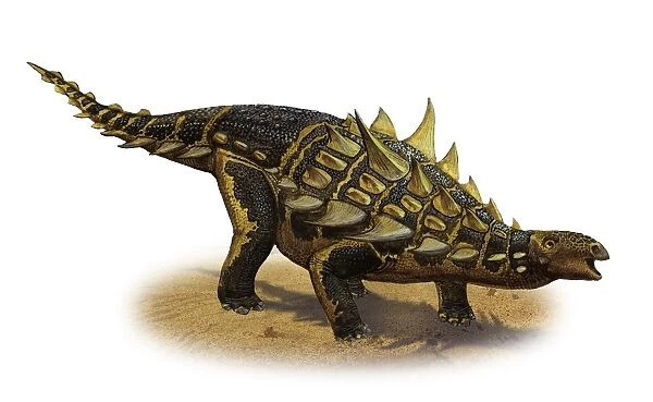 Gastonia burgei, a prehistoric era dinosaur