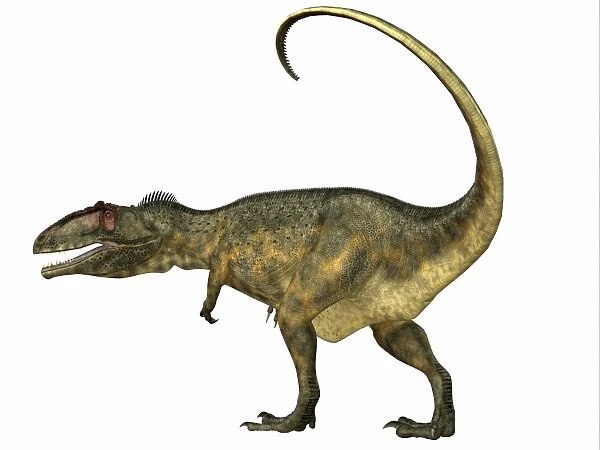 Giganotosaurus dinosaur, side view