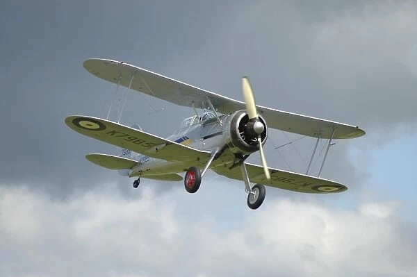 Gloster Gladiator in Royal Air Force colors