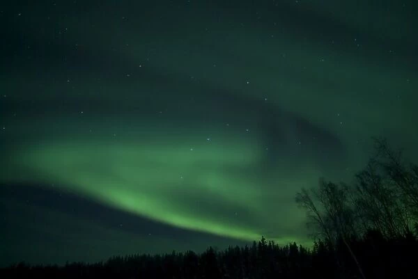 Green Aurora above Far Lake, Yellowknife, Northwest Territories, Canada