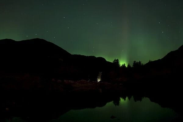 Green Aurora above Kincolith River