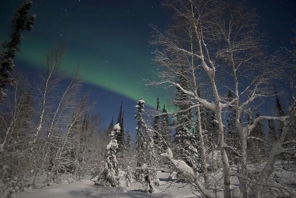 Green Aurora at Prelude Lake, Yellowknife, Northwest Territories, Canada