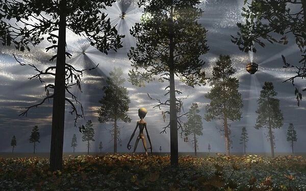 A Grey Alien researcher exploring woodlands