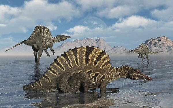 A group of Spinosaurus