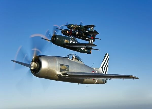 Two Grumman F8F Bearcats and two F7F Tigercats fly in formation
