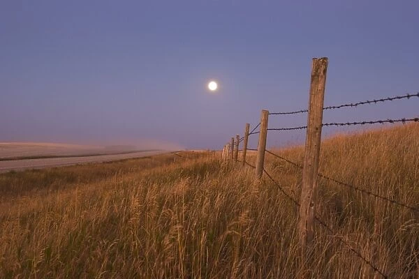 Harvest Moon down the road, Gleichen, Alberta, Canada