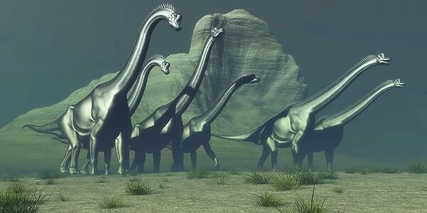 A herd of Brachiosaurus dinosaurs pass a high bluff