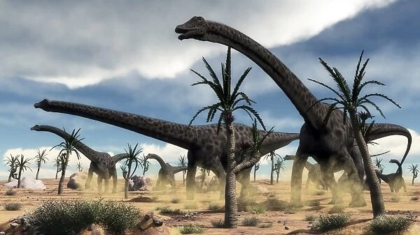 A herd of Diplodocus dinosaurs walking in a desert landscape