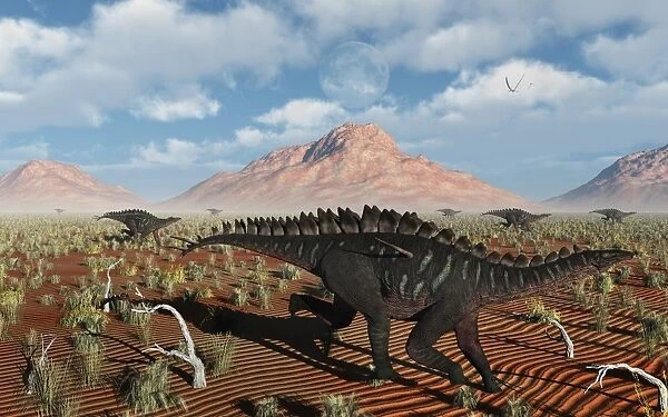 A herd of Miragaia dinosaurs migrating