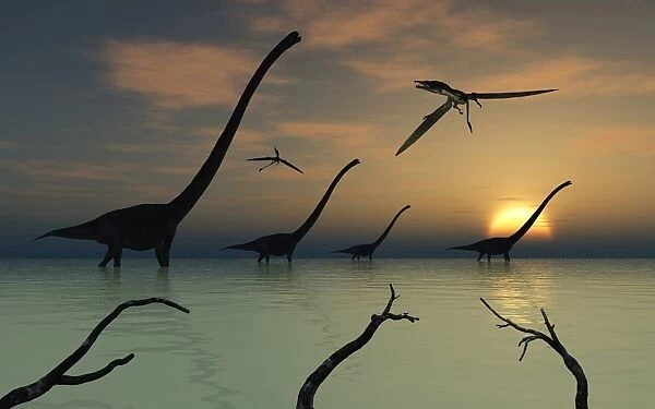 A herd of Omeisaurus dinosaurs walking through shallow waters