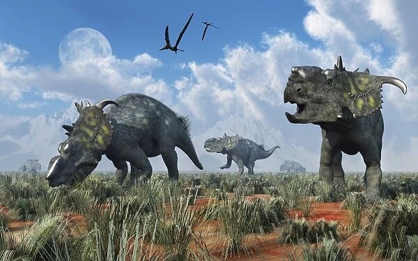 A herd of Pachyrhinosaurus dinosaurs