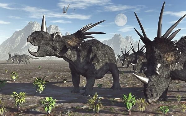 A herd of Styracosaurus dinosaurs during Earths Cretaceous period