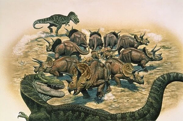 A herd of Triceratops defend their territory against a pair of Tyrannosaurus Rex